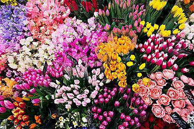 四则运算通电拼图解谜游戏《Electrogical》全新升级中 NS版确定